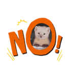 サロベツの動物たち⑤（個別スタンプ：2）