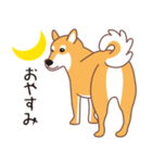 夏〜柴犬（個別スタンプ：11）