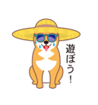 夏〜柴犬（個別スタンプ：14）