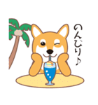 夏〜柴犬（個別スタンプ：19）