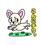 柴犬しばごろーと仲間たち（個別スタンプ：3）