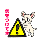 柴犬しばごろーと仲間たち（個別スタンプ：12）