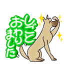 いっぱい いぬ たち（個別スタンプ：28）