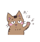 ゆるい茶毛猫（個別スタンプ：1）