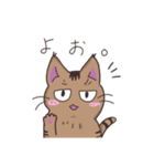 ゆるい茶毛猫（個別スタンプ：2）