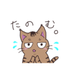 ゆるい茶毛猫（個別スタンプ：6）