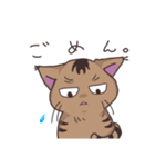 ゆるい茶毛猫（個別スタンプ：11）