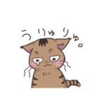 ゆるい茶毛猫（個別スタンプ：12）