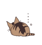 ゆるい茶毛猫（個別スタンプ：13）