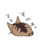 ゆるい茶毛猫（個別スタンプ：14）