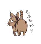 ゆるい茶毛猫（個別スタンプ：16）