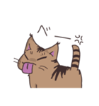 ゆるい茶毛猫（個別スタンプ：17）