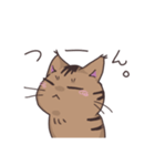 ゆるい茶毛猫（個別スタンプ：18）