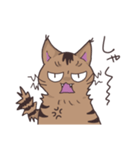 ゆるい茶毛猫（個別スタンプ：19）