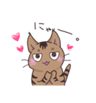ゆるい茶毛猫（個別スタンプ：23）