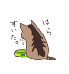 ゆるい茶毛猫（個別スタンプ：25）