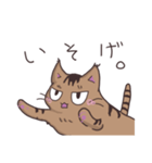 ゆるい茶毛猫（個別スタンプ：27）
