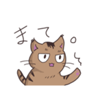 ゆるい茶毛猫（個別スタンプ：28）