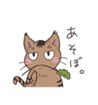 ゆるい茶毛猫（個別スタンプ：29）