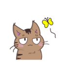 ゆるい茶毛猫（個別スタンプ：30）