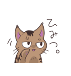 ゆるい茶毛猫（個別スタンプ：33）