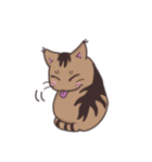ゆるい茶毛猫（個別スタンプ：35）
