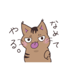 ゆるい茶毛猫（個別スタンプ：36）