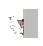 ゆるい茶毛猫（個別スタンプ：38）