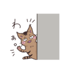 ゆるい茶毛猫（個別スタンプ：40）