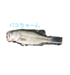バス釣り太郎（個別スタンプ：3）