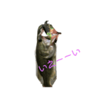 バス釣り太郎（個別スタンプ：4）