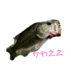 バス釣り太郎（個別スタンプ：7）
