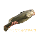 バス釣り太郎（個別スタンプ：8）