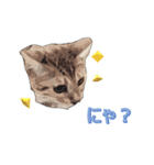 微妙に使えないねこスタンプ（個別スタンプ：1）