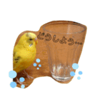 インコのリキちゃん（個別スタンプ：2）