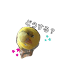 インコのリキちゃん（個別スタンプ：3）