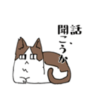 『しつじさんちの猫』（個別スタンプ：10）