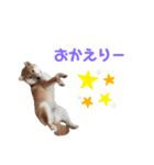 オラえのまめちゃん（個別スタンプ：5）