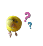 インコのリキちゃん2（個別スタンプ：3）