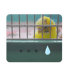 インコのリキちゃん2（個別スタンプ：4）