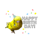 インコのリキちゃん2（個別スタンプ：6）
