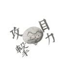 はっぴーちゃんスタンプ（個別スタンプ：2）