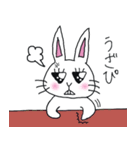働くOLウサギ！ぴぴまる（個別スタンプ：38）
