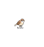 ドットな動物たち（個別スタンプ：8）