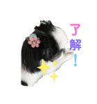 りんちゃんももちゃん（個別スタンプ：1）