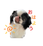りんちゃんももちゃん（個別スタンプ：3）