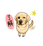 大型犬、大集合！（個別スタンプ：2）