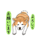 大型犬、大集合！（個別スタンプ：5）