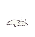 ゆる白いぬ（個別スタンプ：19）
