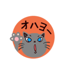 猫のごまと犬のきなこ（個別スタンプ：15）